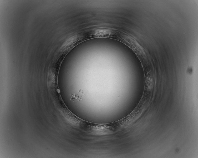X0000098080375200804041154