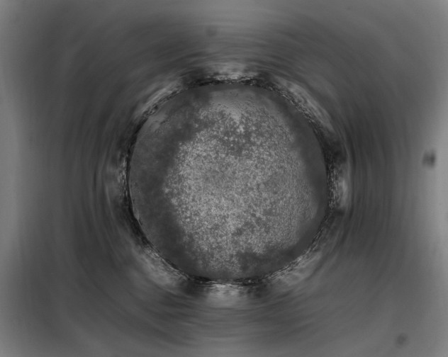 X0000098080376200804041154