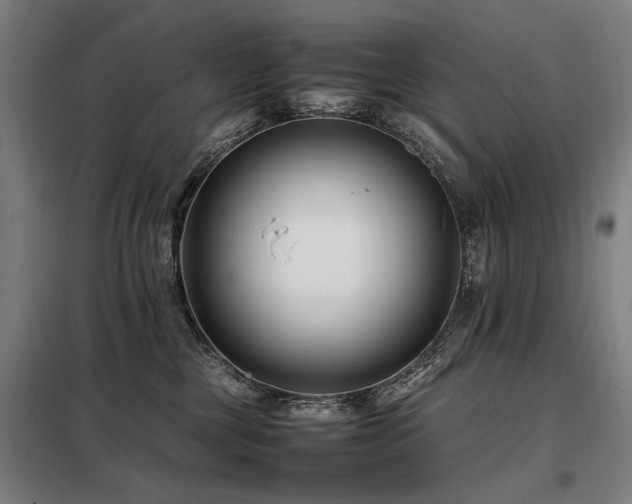 X0000098080377200804041154