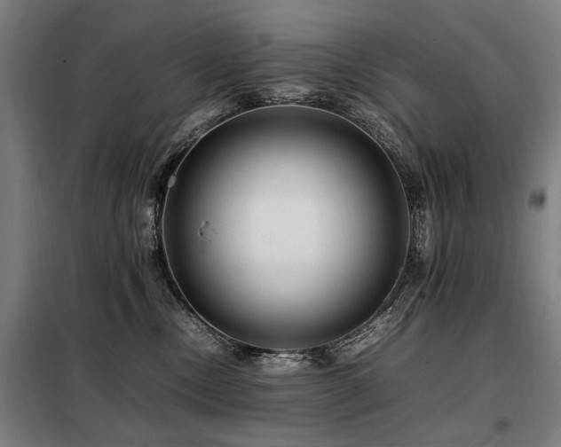 X0000098080378200804041154