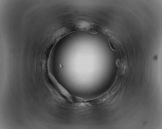 X0000098080379200804041154