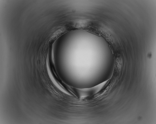 X0000098080380200804041154