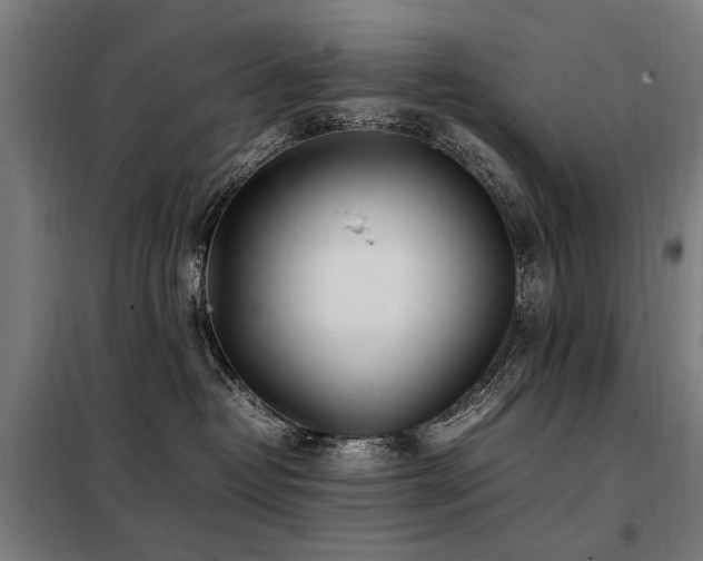 X0000098080382200804041154