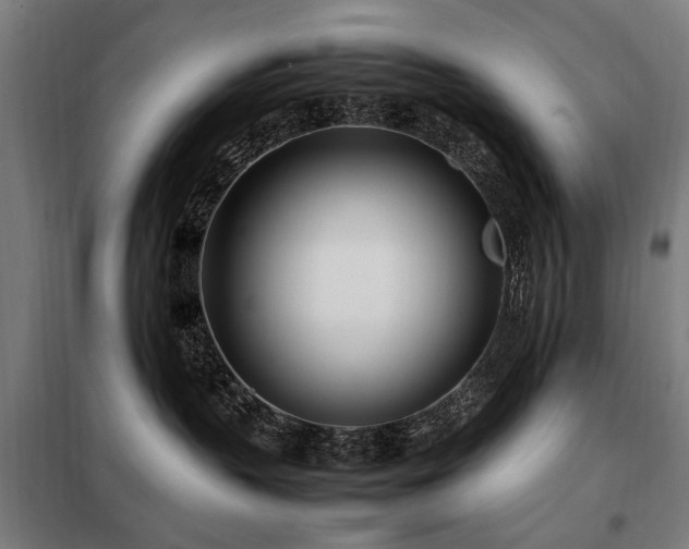 X0000098080383200804041154