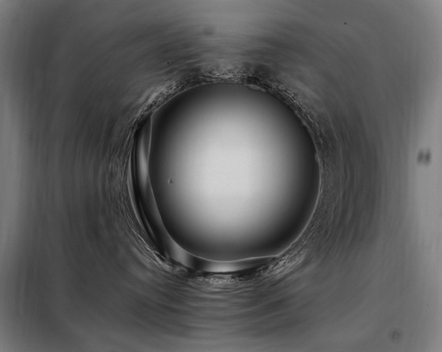 X0000098080384200804041154