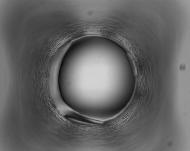 X0000098080385200804041153