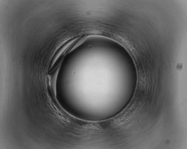 X0000098080386200804041153