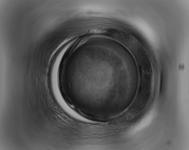 X0000098080387200804041153
