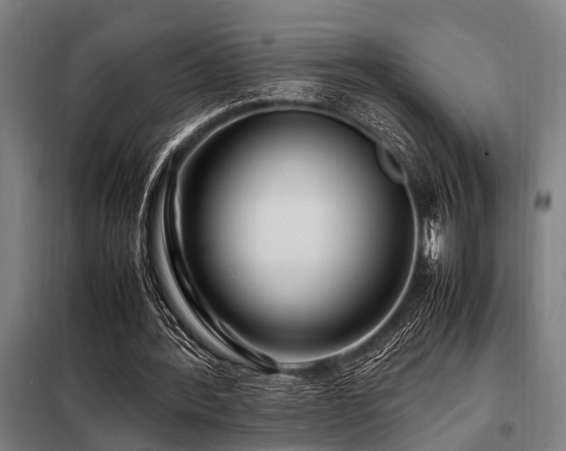 X0000098080388200804041153