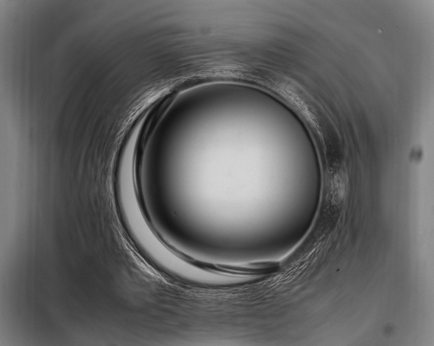 X0000098080389200804041153