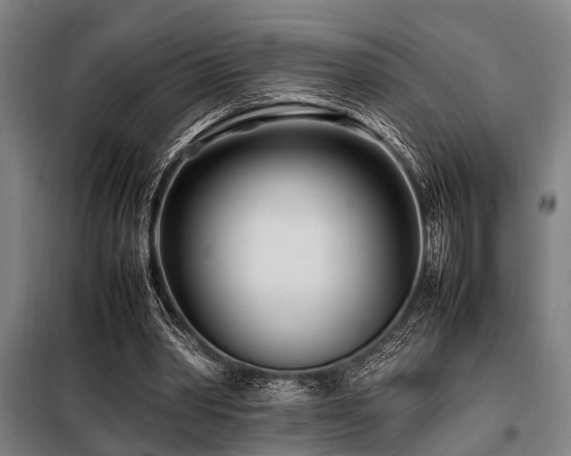 X0000098080390200804041153