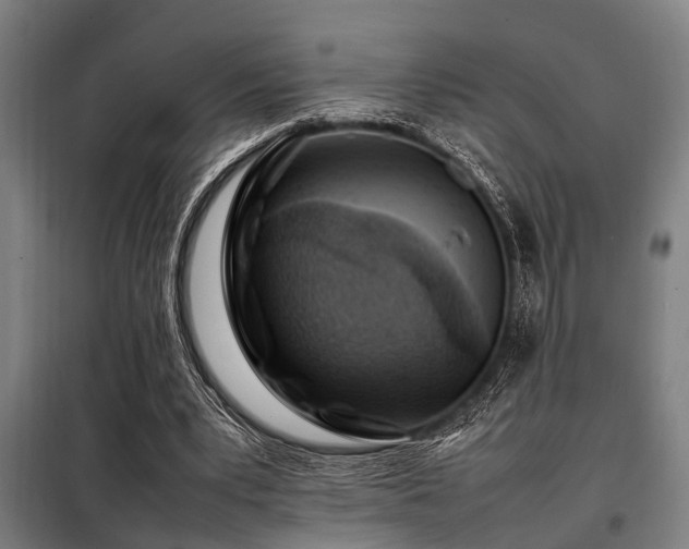 X0000098080391200804041153