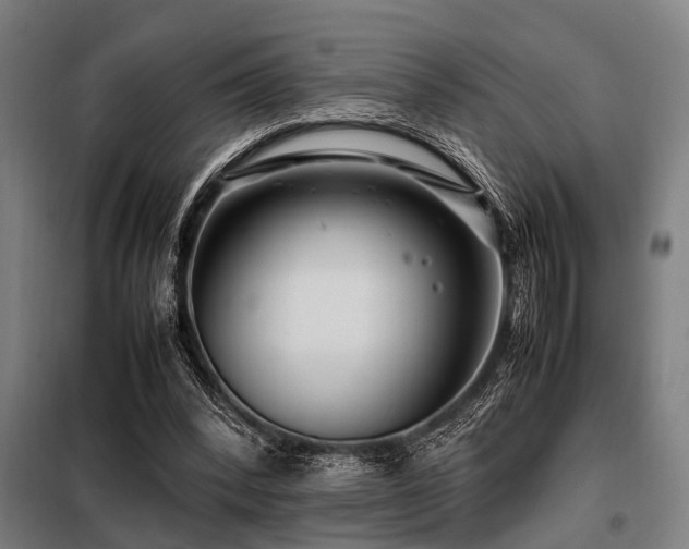 X0000098080392200804041153