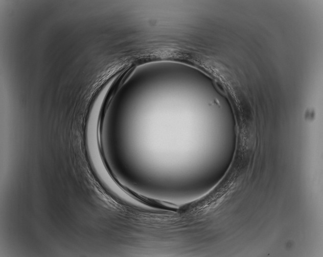 X0000098080393200804041153