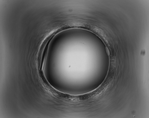 X0000098080395200804041153