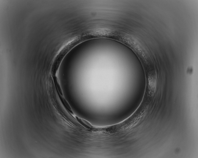 X0000098080396200804041153