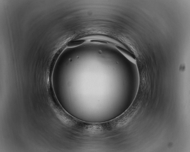 X0000098080398200804041153
