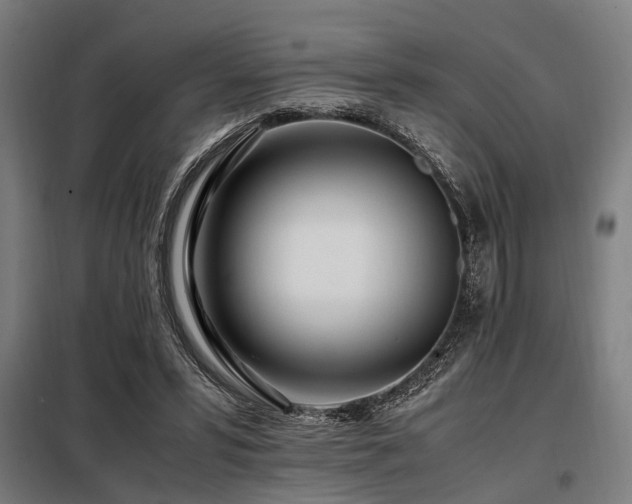 X0000098080399200804041153