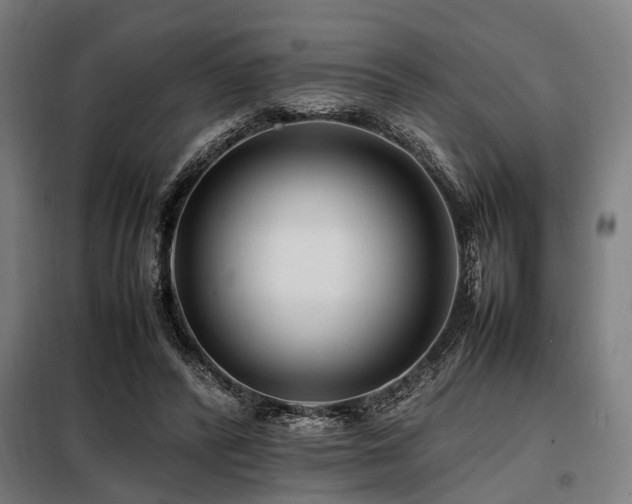 X0000098080400200804041153