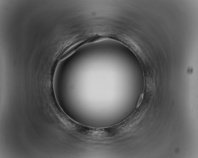 X0000098080401200804041153