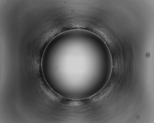 X0000098080402200804041153