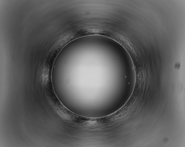 X0000098080406200804041153