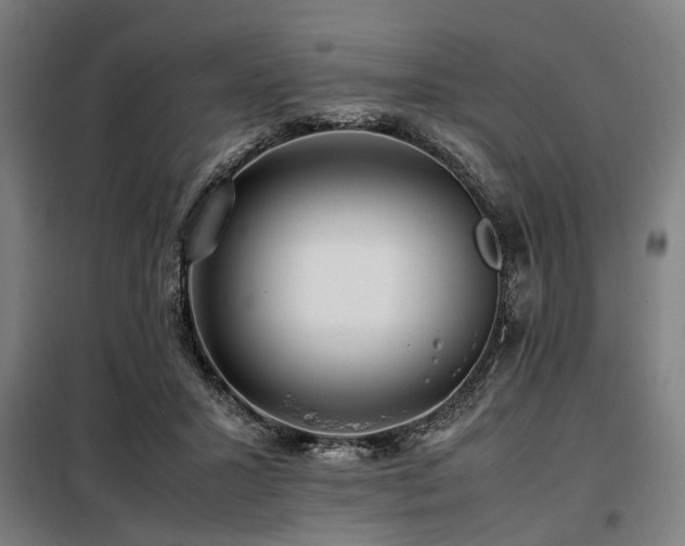 X0000098080407200804041153