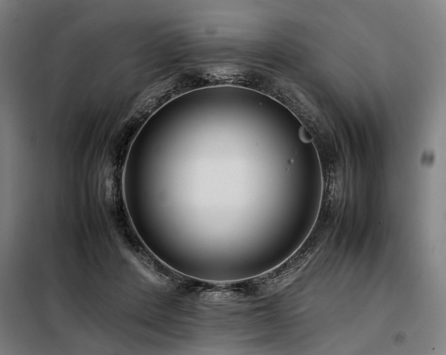 X0000098080408200804041153