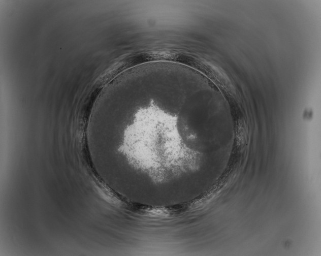 X0000098080409200804041153
