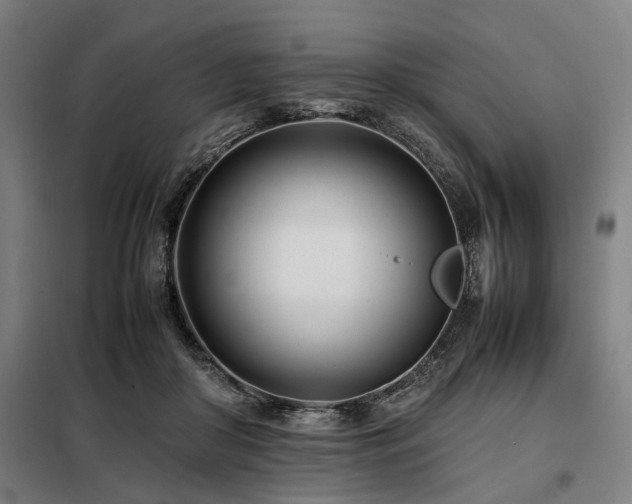 X0000098080410200804041153