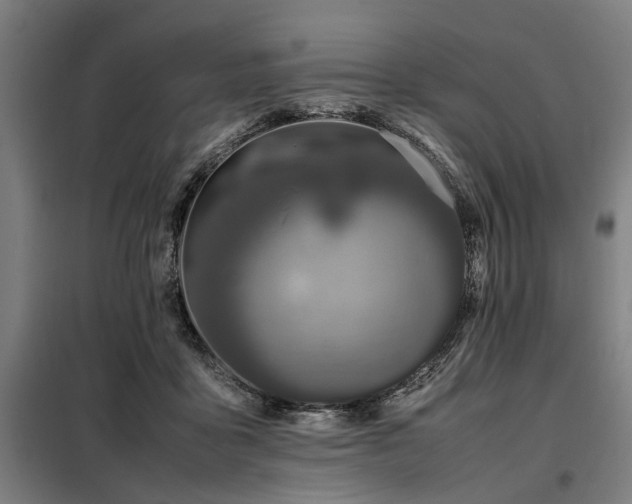 X0000098080411200804041153