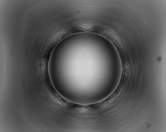 X0000098080412200804041153