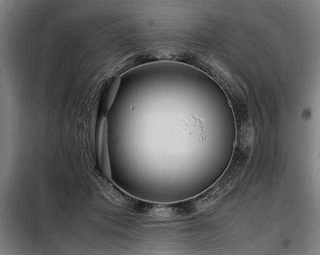 X0000098080413200804041153