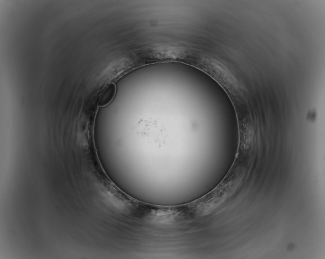 X0000098080414200804041153