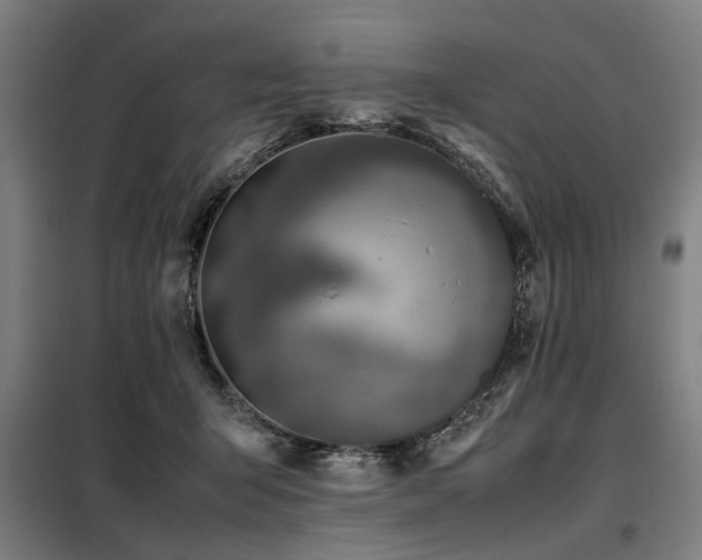 X0000098080415200804041153