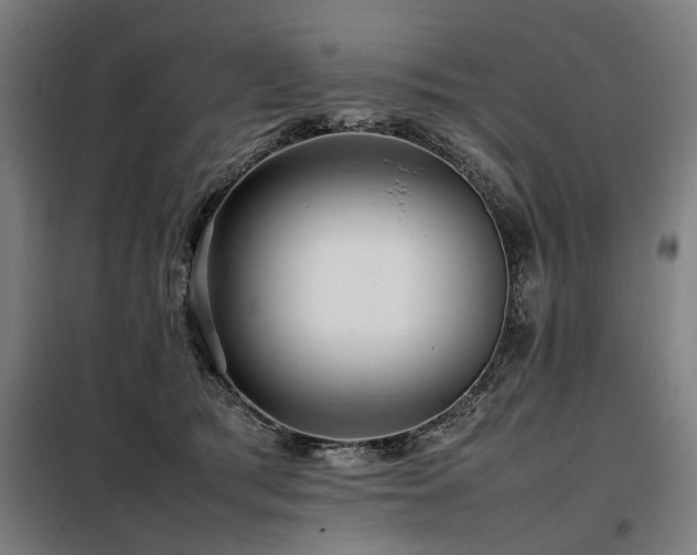X0000098080417200804041153