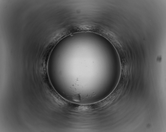 X0000098080418200804041153