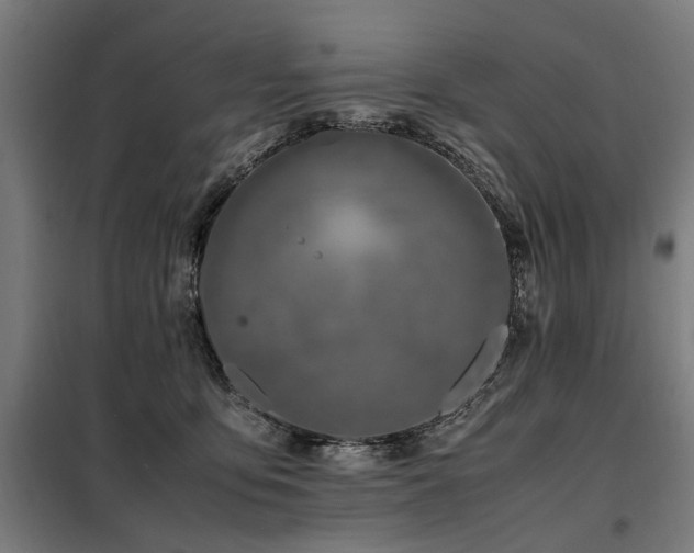 X0000098080419200804041153