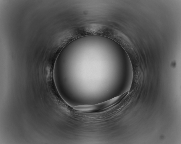 X0000098080420200804041153