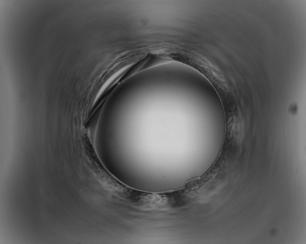 X0000098080421200804041153