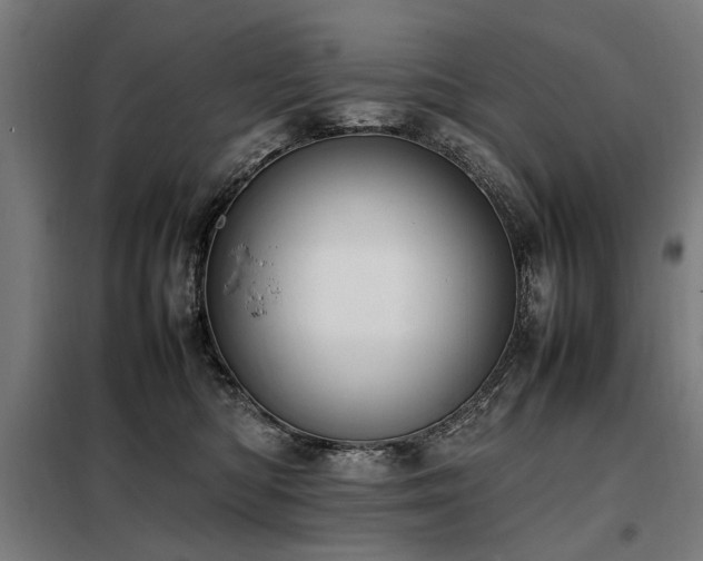 X0000098080422200804041153