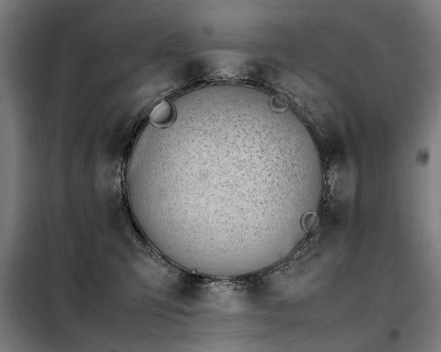 X0000098080423200804041153