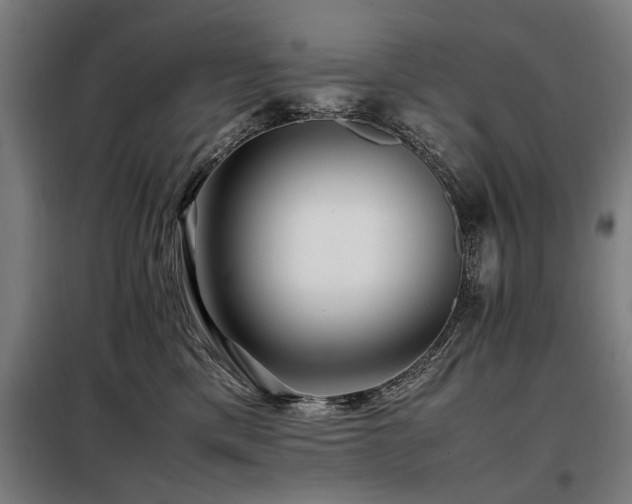 X0000098080425200804041153