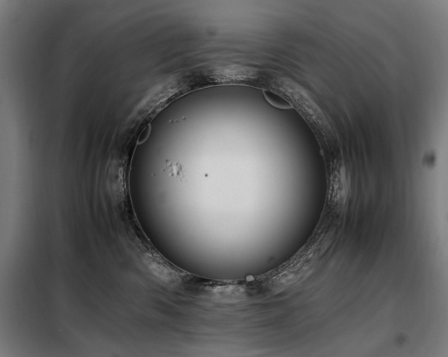 X0000098080426200804041153