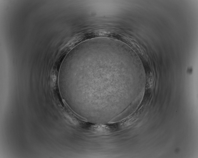 X0000098080427200804041153