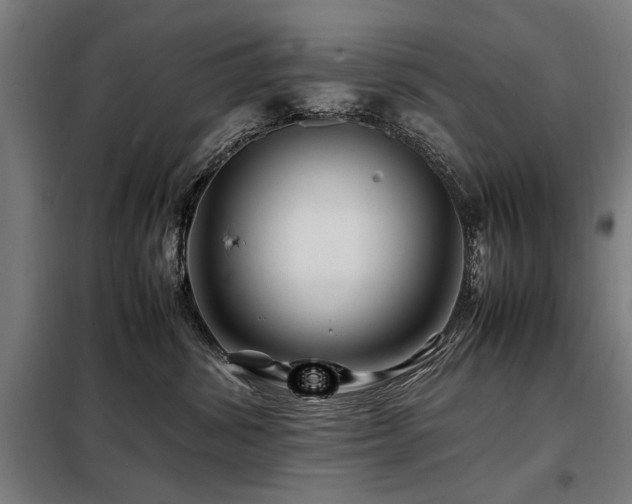 X0000098080428200804041153