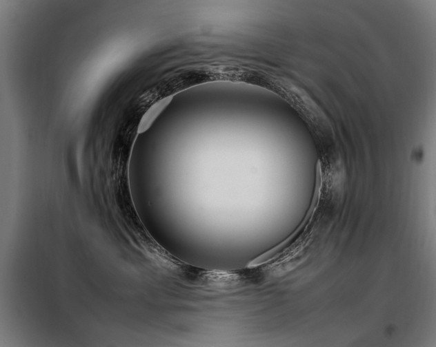 X0000098080429200804041153