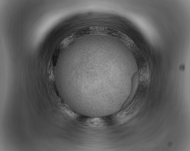 X0000098080431200804041153