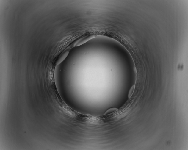 X0000098080432200804041153