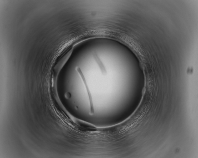 X0000098080434200804041152